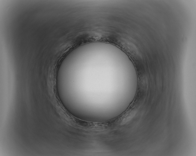 X0000111631105200907241044