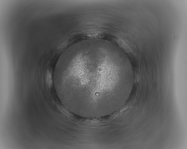 X0000111631106200907241044