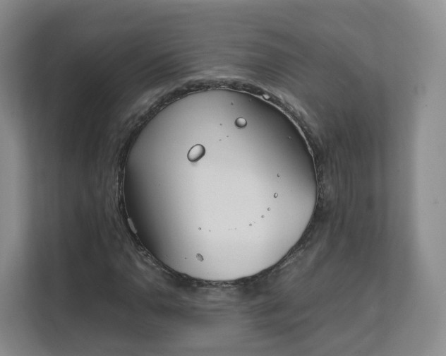 X0000111631110200907241045