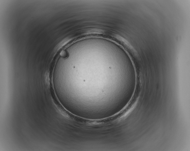 X0000111631113200907241045