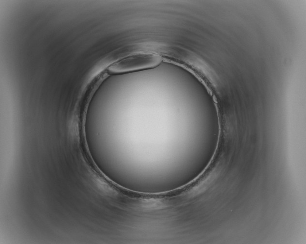 X0000111631114200907241045