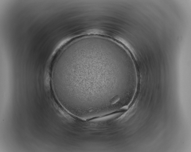 X0000111631115200907241045