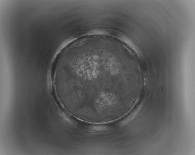 X0000111631117200907241045