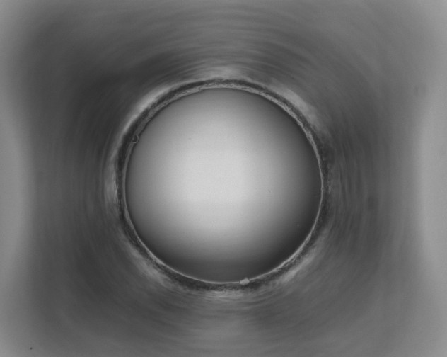 X0000111631118200907241045