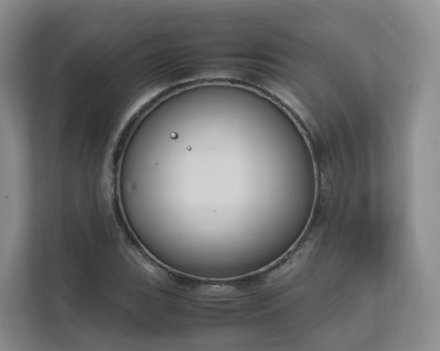 X0000111631119200907241045