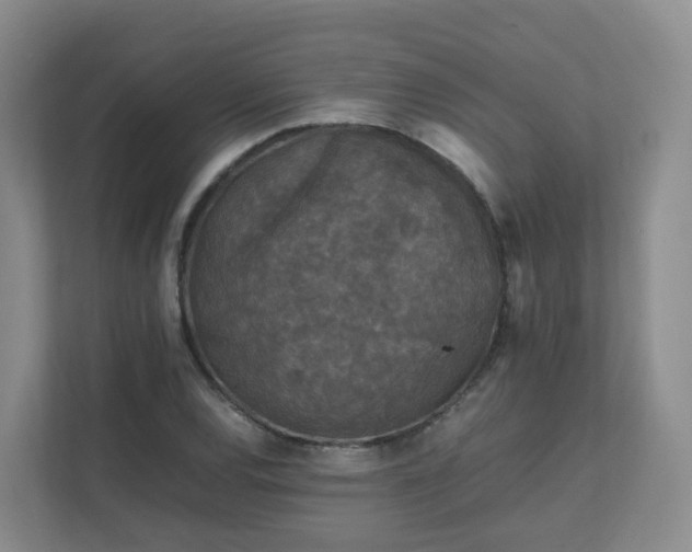 X0000111631120200907241045