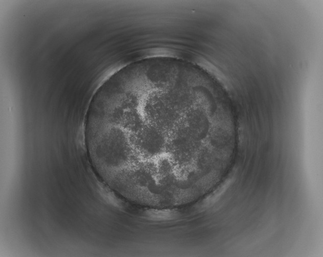 X0000111631121200907241045