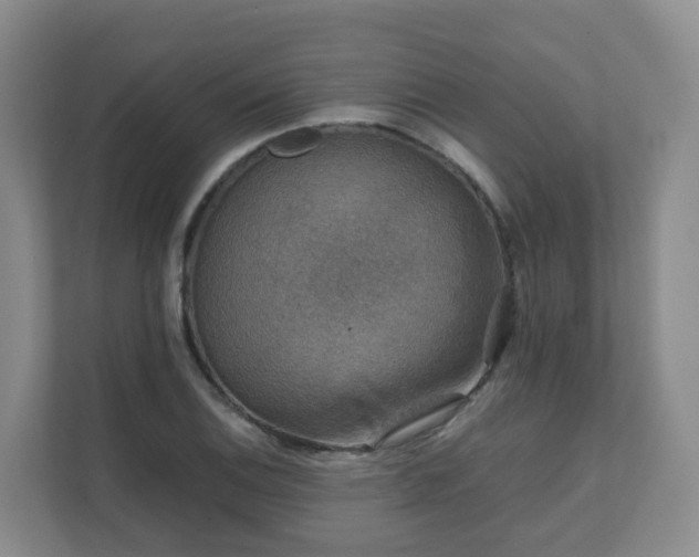 X0000111631124200907241045