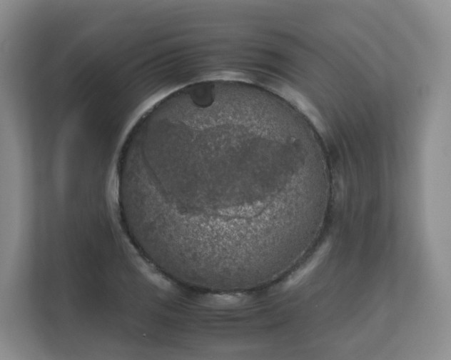 X0000111631125200907241045