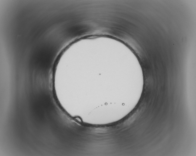 X0000111631126200907241045