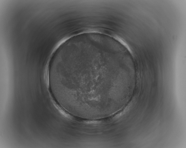 X0000111631127200907241045