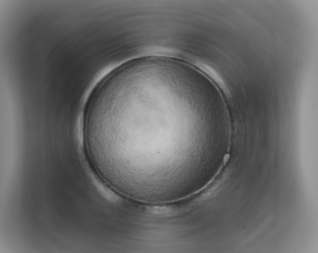 X0000111631128200907241045