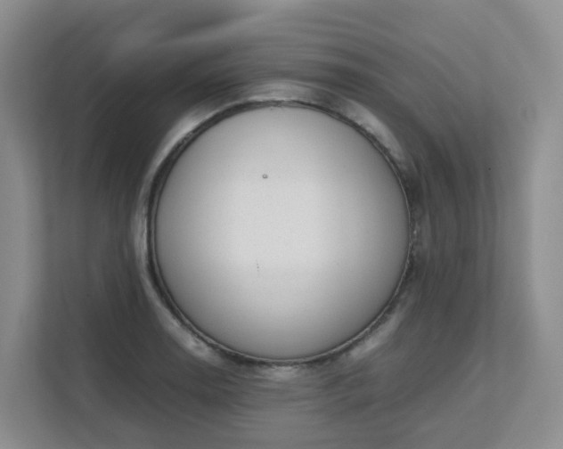 X0000111631130200907241045