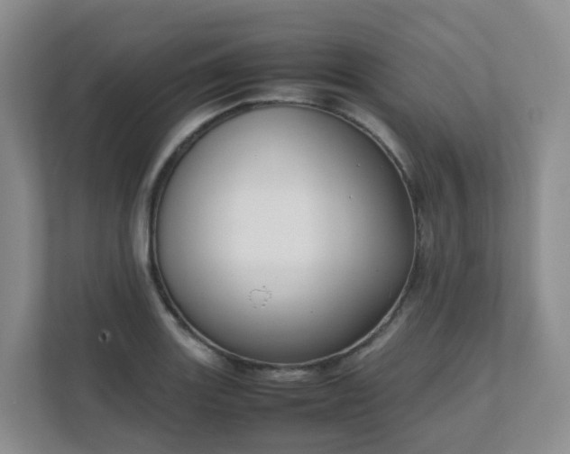 X0000111631131200907241045