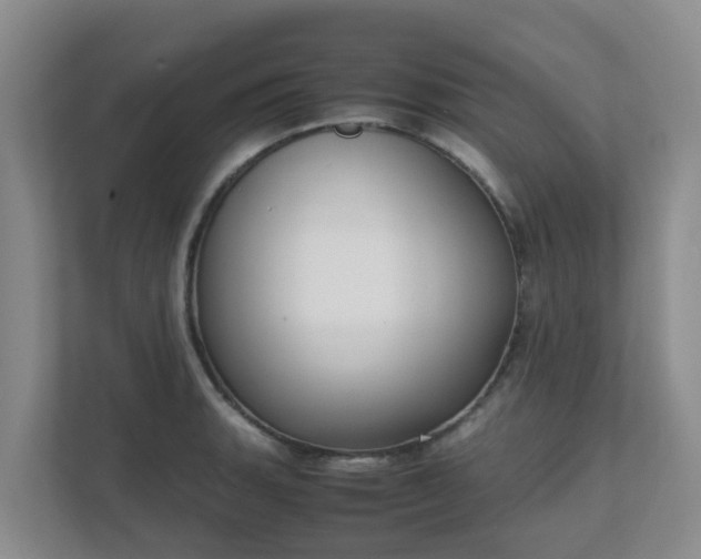 X0000111631135200907241045