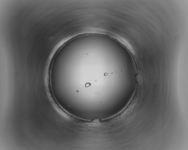 X0000111631136200907241045