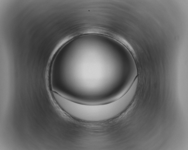 X0000111631138200907241045