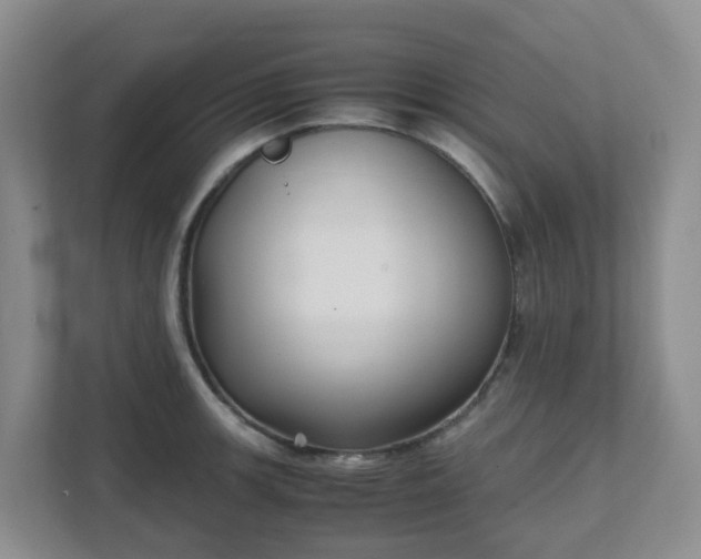 X0000111631139200907241045