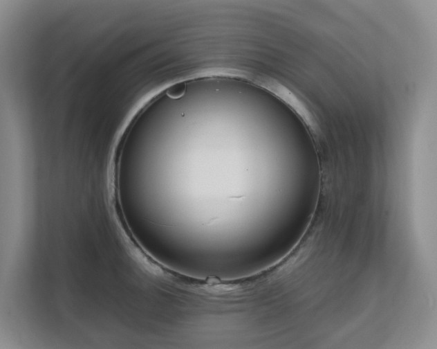 X0000111631140200907241045