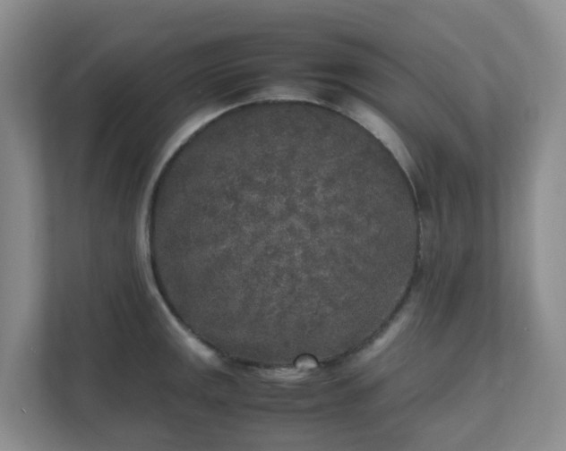 X0000111631141200907241045