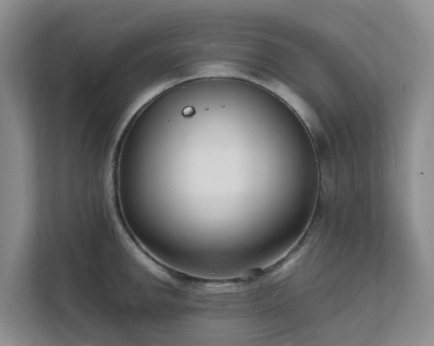 X0000111631142200907241045