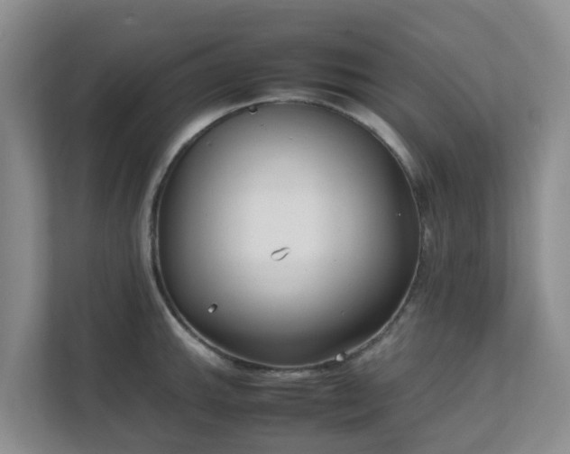 X0000111631143200907241045