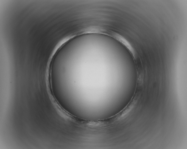 X0000111631146200907241045