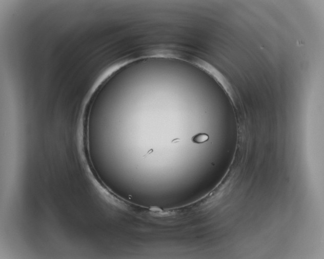 X0000111631147200907241045