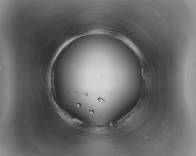 X0000111631148200907241045