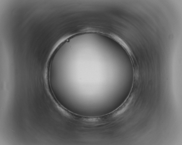 X0000111631149200907241045