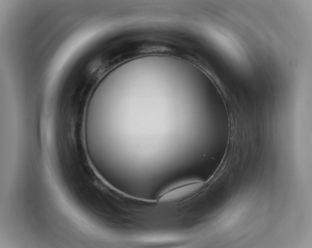 X0000111631151200907241045