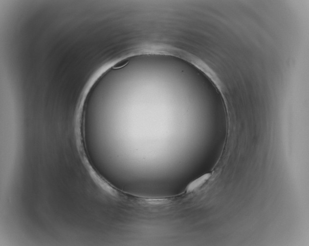 X0000111631152200907241045