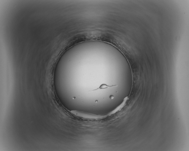 X0000111631153200907241044