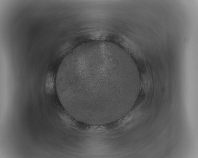 X0000111631154200907241044