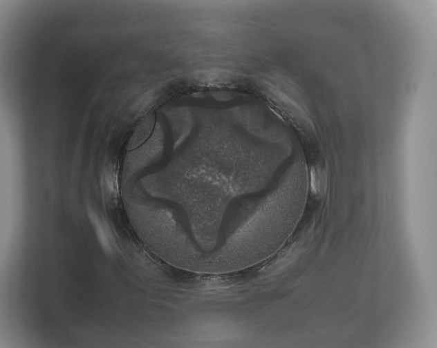 X0000111631155200907241044