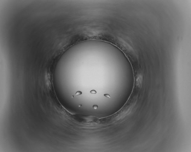 X0000111631156200907241044