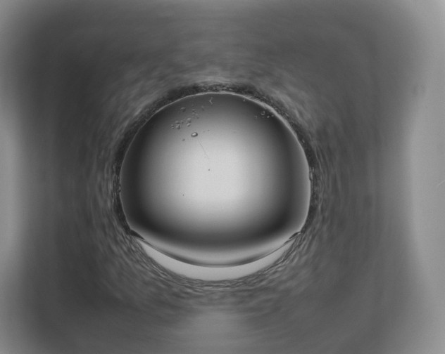 X0000111631157200907241044