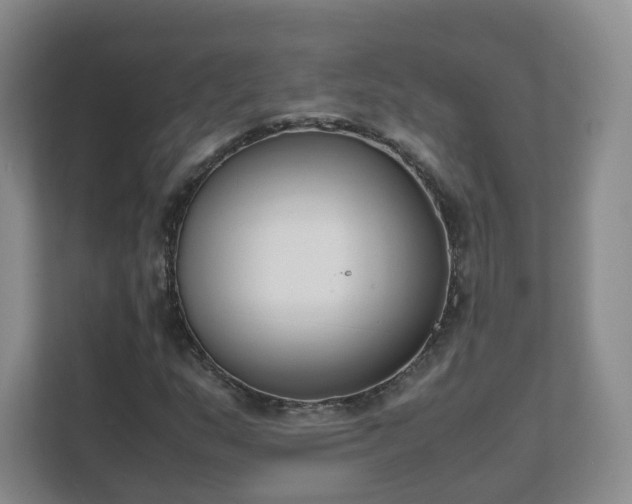 X0000111631159200907241044