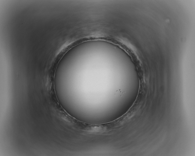 X0000111631160200907241044