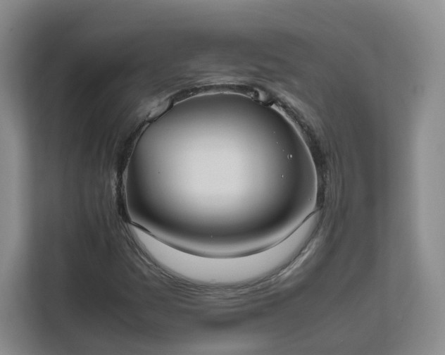 X0000111631161200907241044