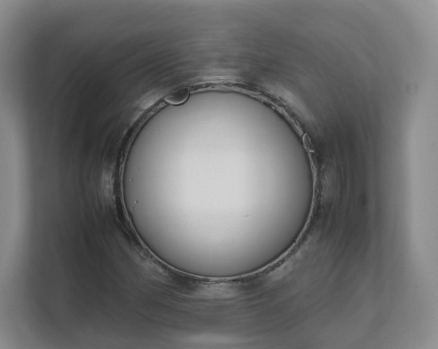 X0000111631162200907241044