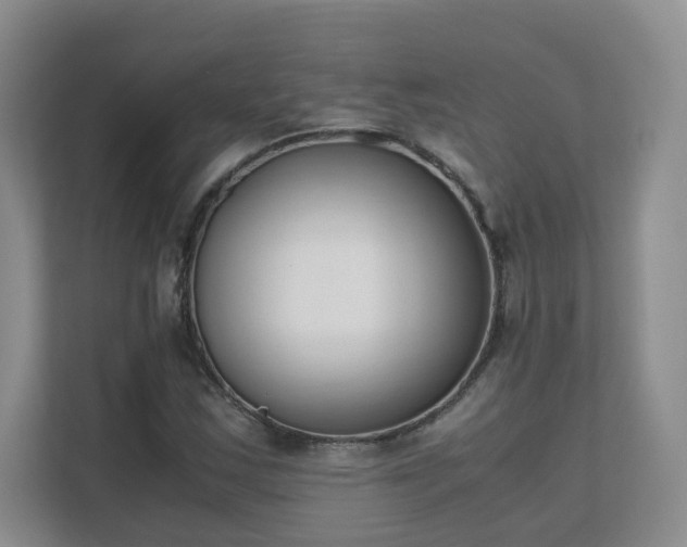 X0000111631163200907241044