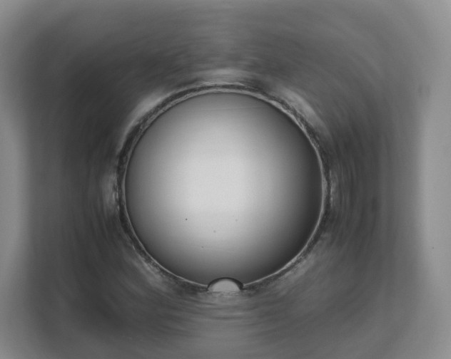 X0000111631164200907241044