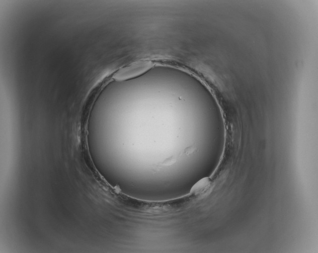 X0000111631165200907241044