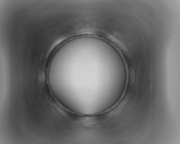 X0000111631166200907241044