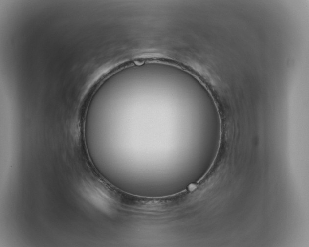 X0000111631167200907241044