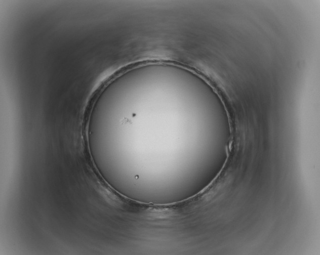 X0000111631168200907241044