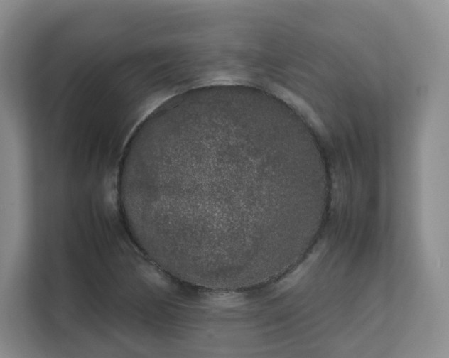 X0000111631170200907241044