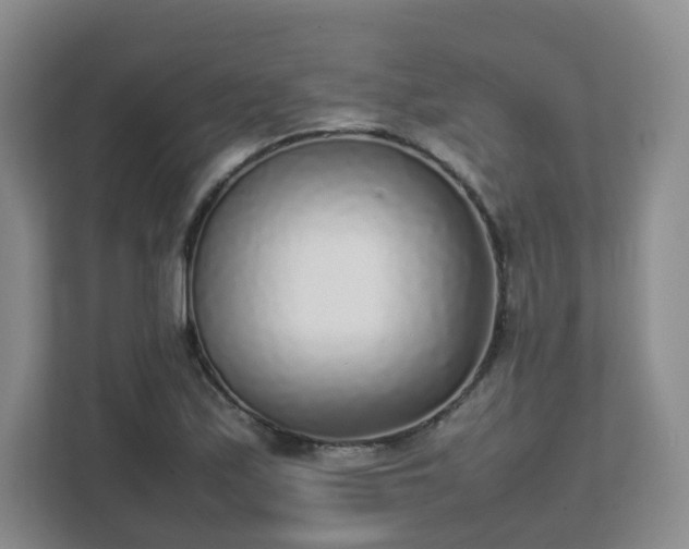 X0000111631171200907241044