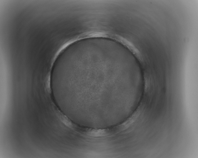 X0000111631174200907241044